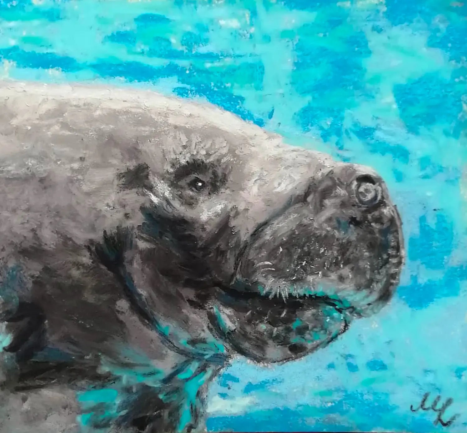 Der Dugong