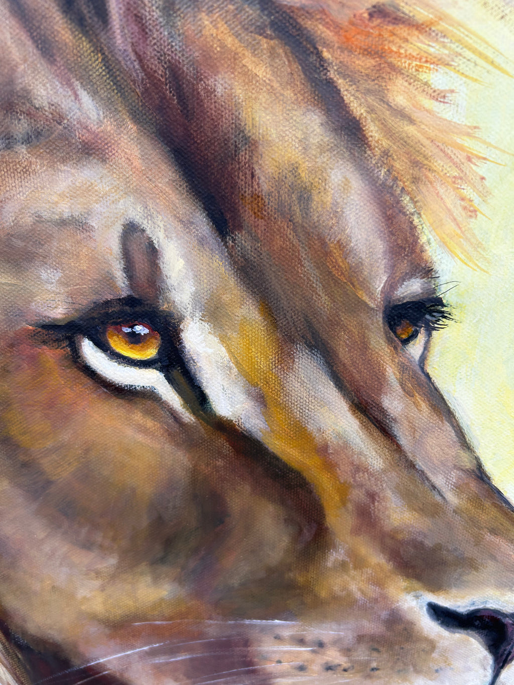 Alpha´s Gaze