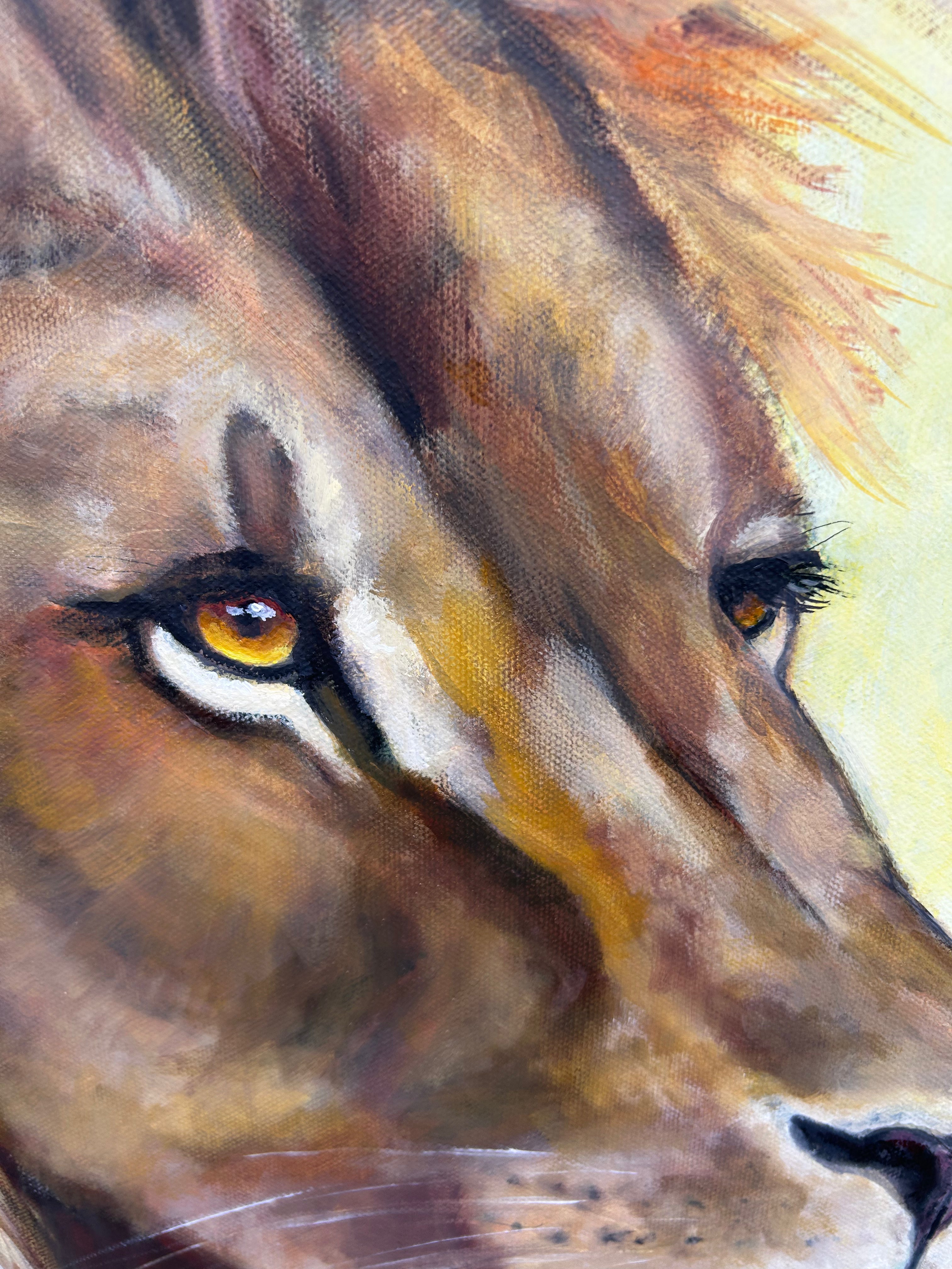 Alpha´s Gaze