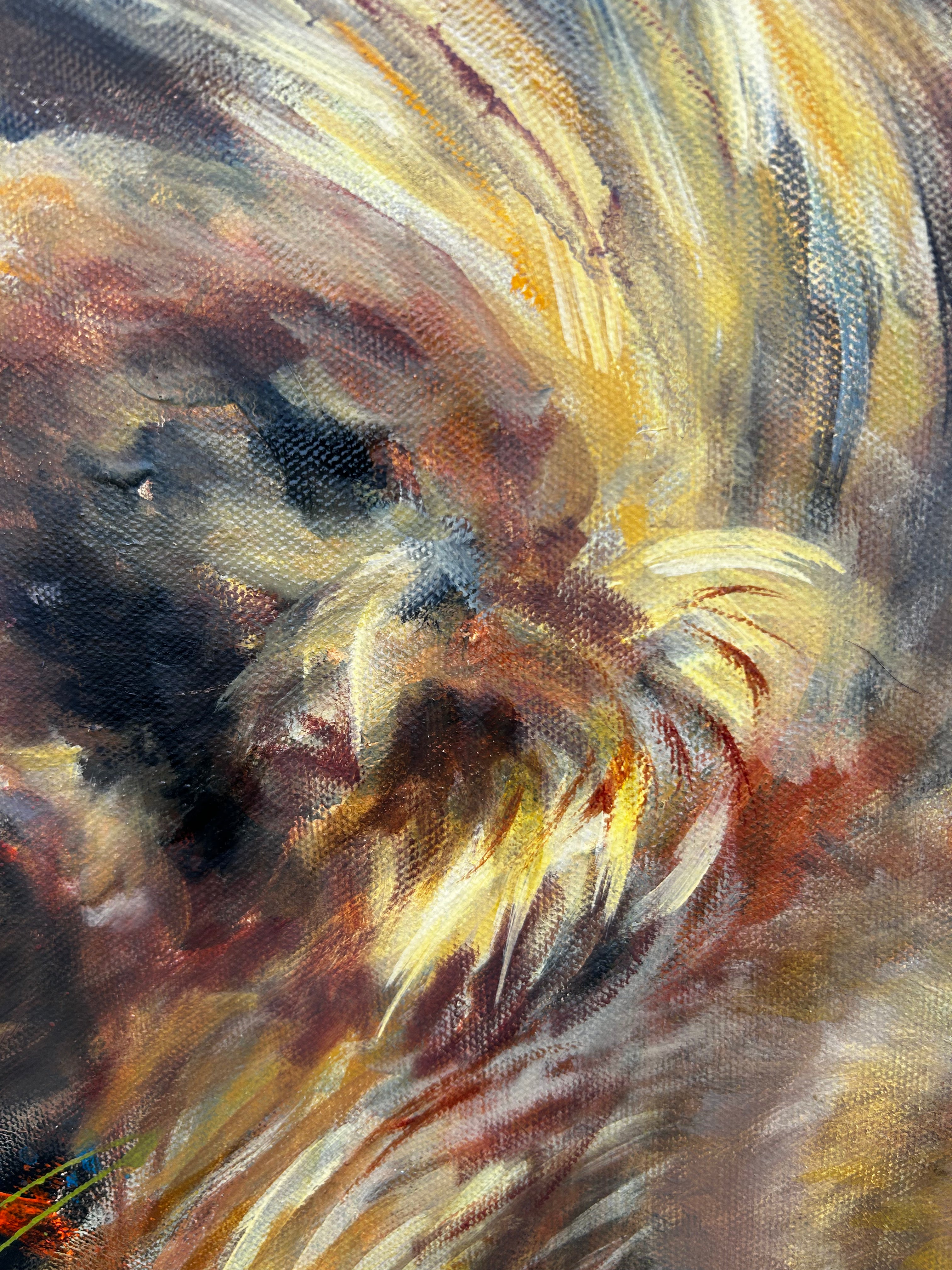 Alpha´s Gaze