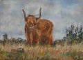 Highland Cattle