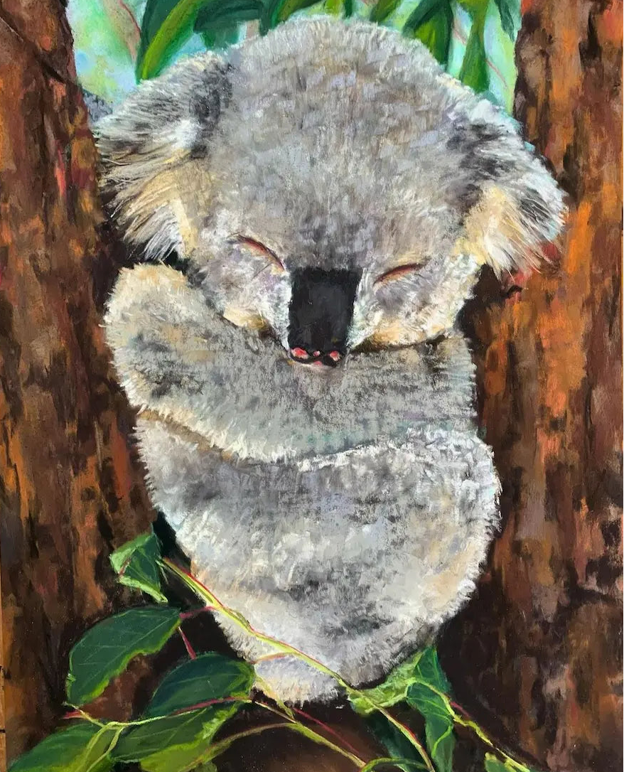 koala